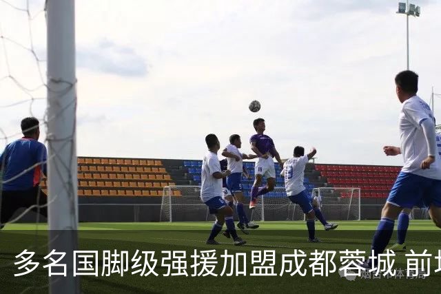 多名国脚级强援加盟成都蓉城 前场还有进人空间